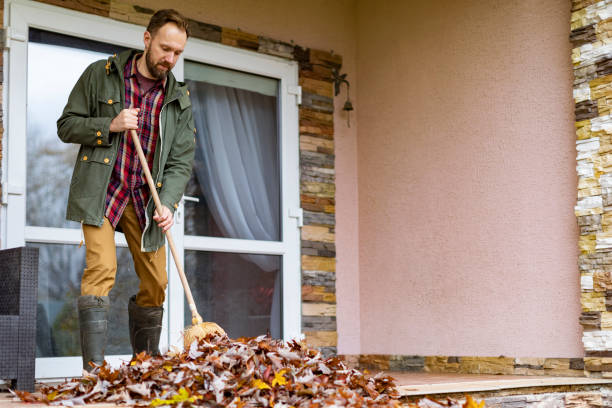 Best Same-Day Junk Removal  in Questa, NM