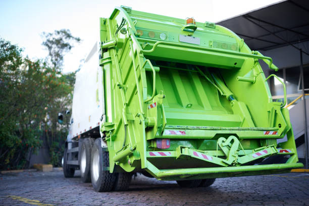 Best Yard Cleanup Services  in Questa, NM